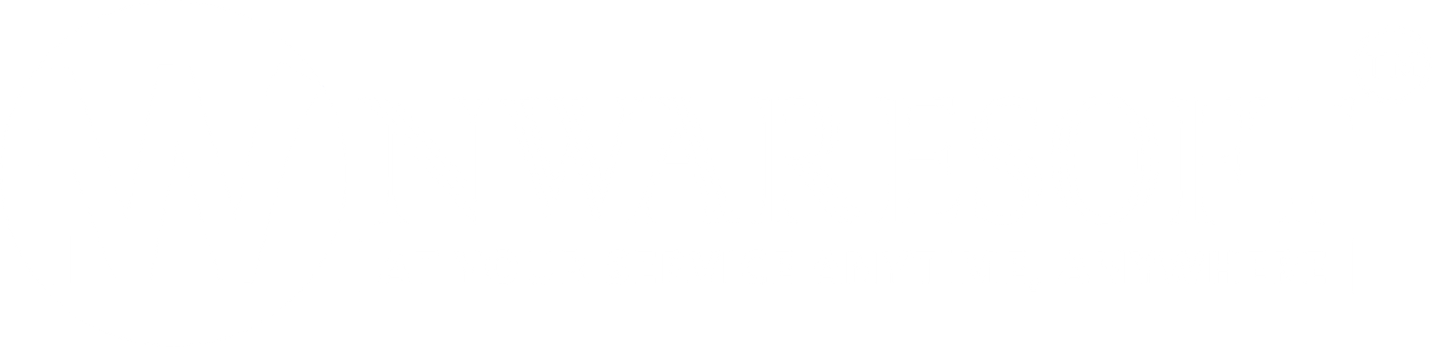 Nwaresoft-logo