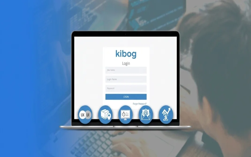 Asset monitoring and management systemt