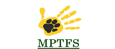 mptfs - Nwaresoft Private Limited